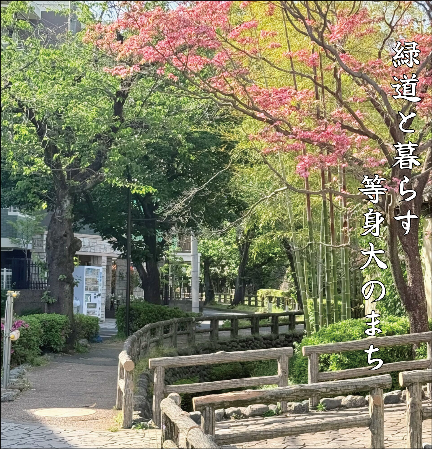 鵜の木 駅