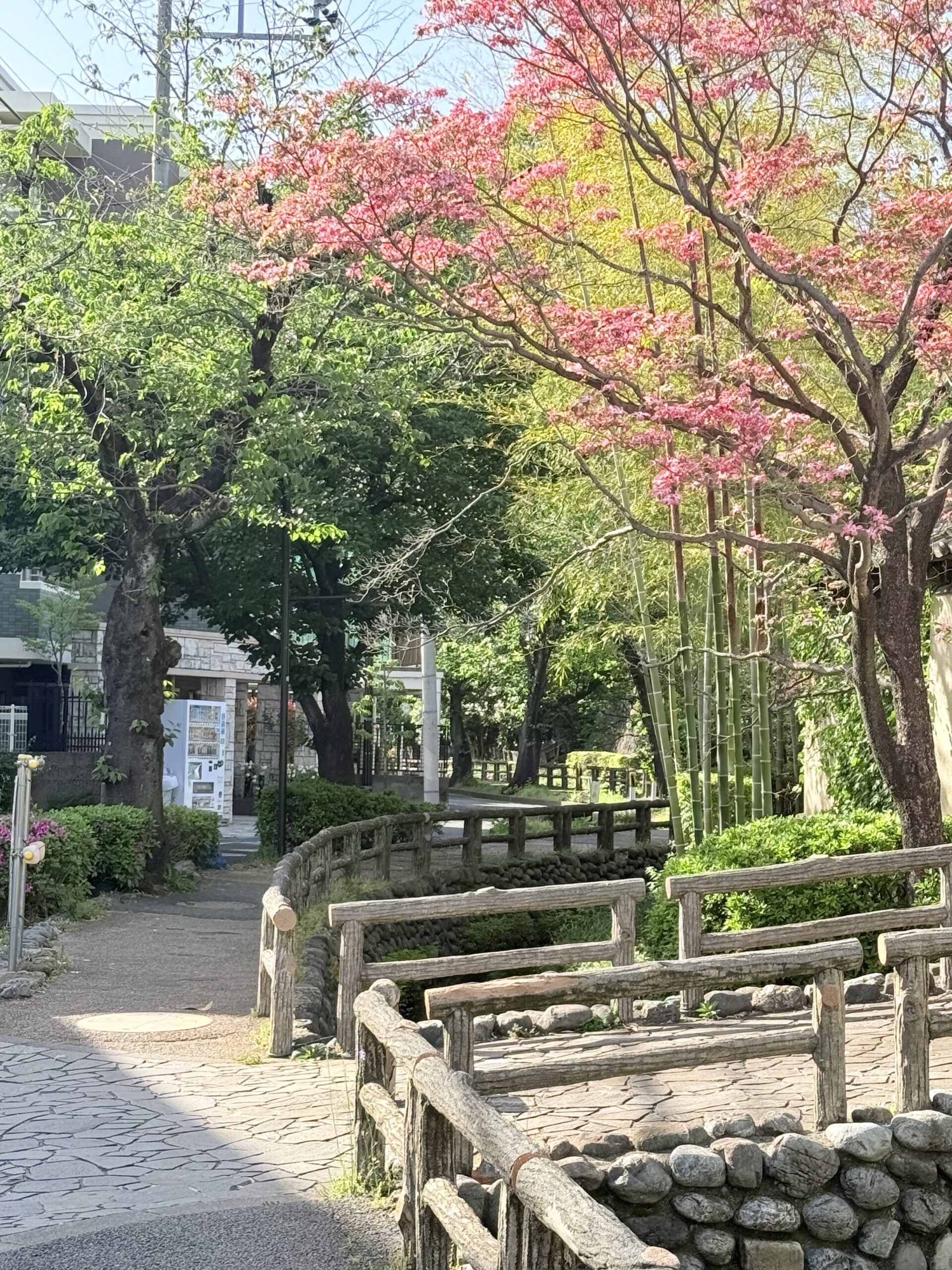 沼部駅近くの六郷用水側の散歩道
