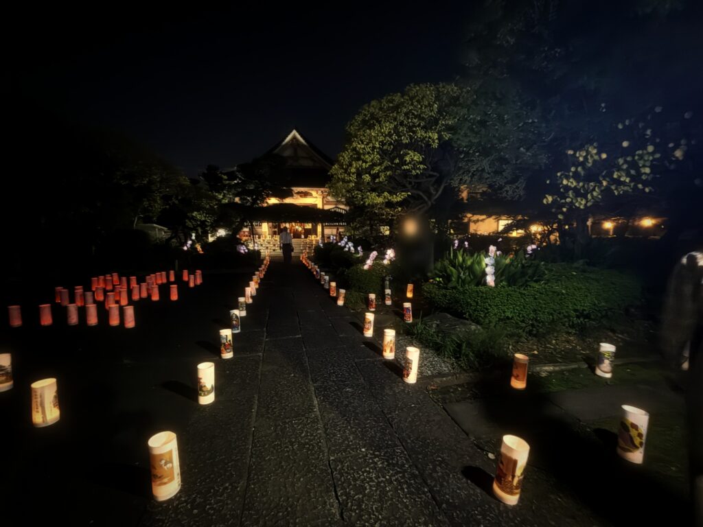 灯籠が並ぶ夜の参道